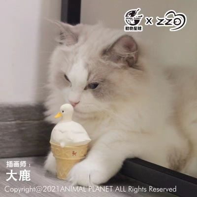 鸭鸭雪糕系列盲盒