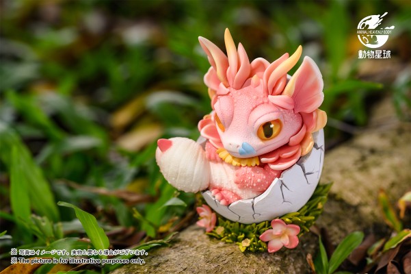 龙蛋系列 守宫龙蛋