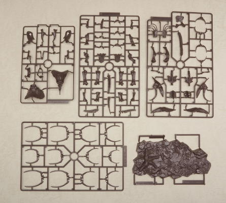 幻想骨架  三角龙