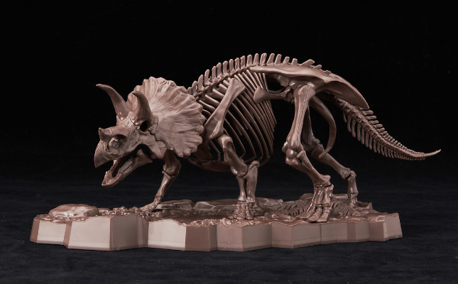 幻想骨架  三角龙