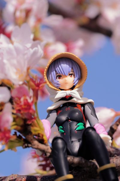 转轮科技 EE系列 EV-022 新世纪福音战士新剧场版：终 绫波零 第3村版