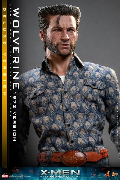 电影杰作系列 X战警：逆转未来 金刚狼(1973年版本)