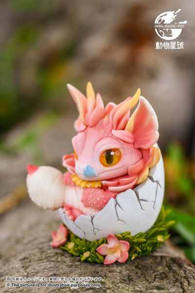 龙蛋系列 守宫龙蛋