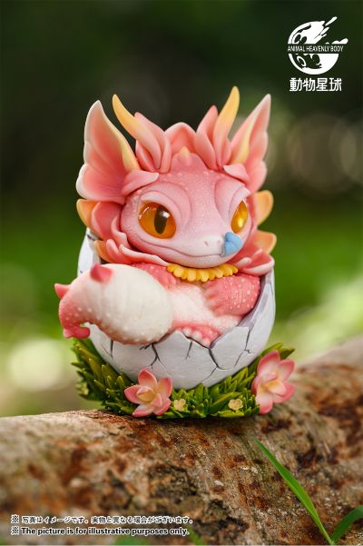 龙蛋系列 守宫龙蛋