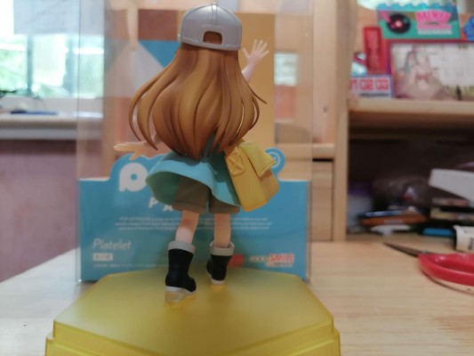 POP UP PARADE 工作细胞 血小板