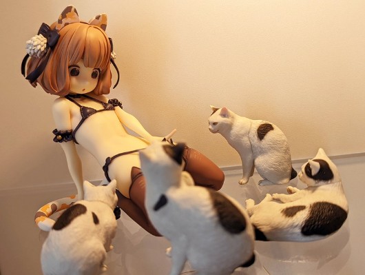 猫咖啡 ♡ 内裤