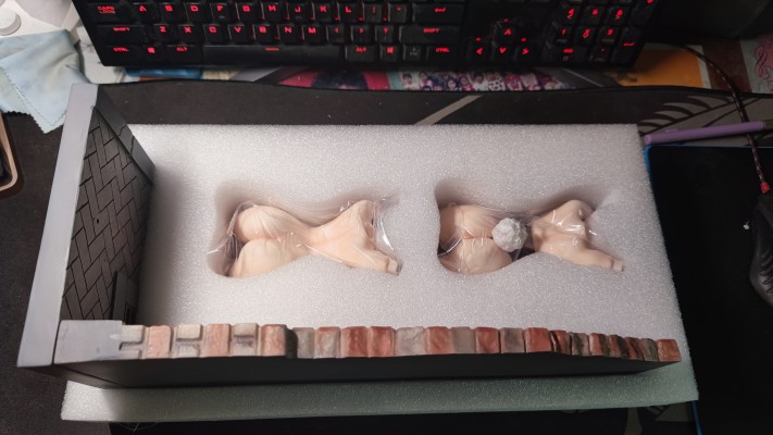 红灯街的兔女郎 桃子