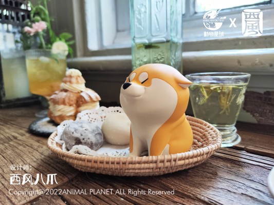 阿柴枸杞 互动枸杞 招手、端坐、拉绳