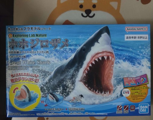 自然研究室  噬人鲨 ​​​​