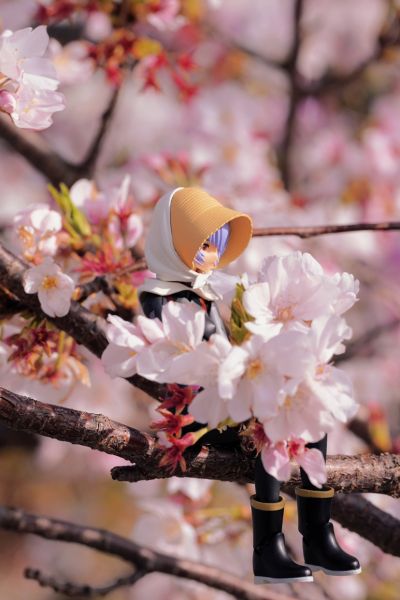 转轮科技 EE系列 EV-022 新世纪福音战士新剧场版：终 绫波零 第3村版