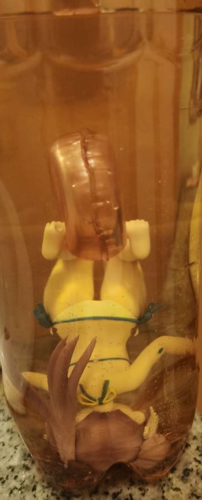 沙滩女王 IS〈无限斯特拉托斯〉 凰铃音 泳装