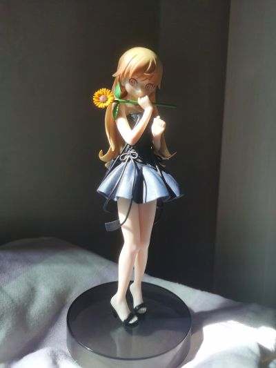 一番赏 Premium 伤物语 热血篇 A奖 阿良良木历