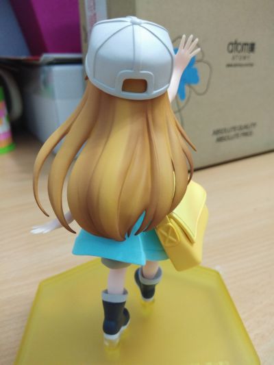 POP UP PARADE 工作细胞 血小板