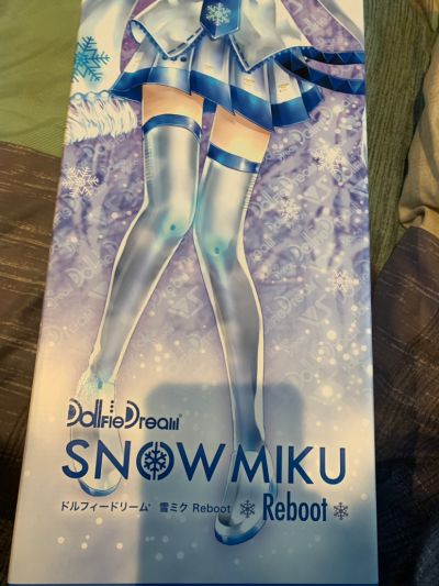 Dollfie Dream DD VOCALOID 初音未来 雪初音 Reboot