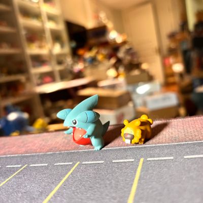 宝可梦比例世界 神奥地区2 套装