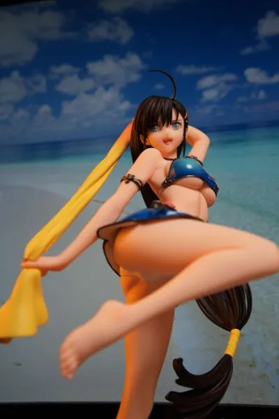 Shining Beach Heroines 光明系列 王白龍 水着 ver.