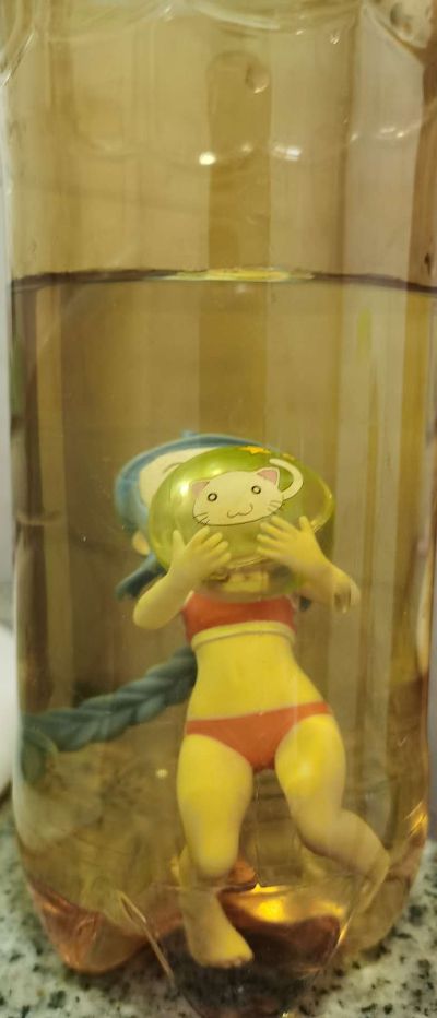 沙滩女王 IS〈无限斯特拉托斯〉 凰铃音 泳装