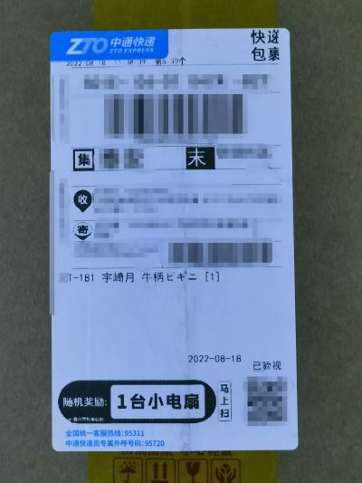 BEACH QUEENS ささみさん＠がんばらない 月读锁锁美