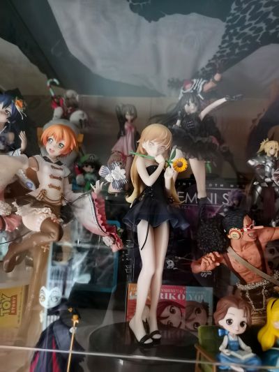 一番赏 Premium 伤物语 热血篇 C奖 姬丝秀忒 10岁