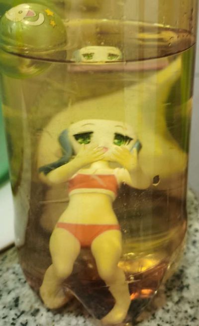 沙滩女王 IS〈无限斯特拉托斯〉 凰铃音 泳装