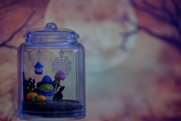 角落生物 春夏秋冬生态罐