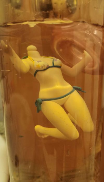 沙滩女王 IS〈无限斯特拉托斯〉 凰铃音 泳装