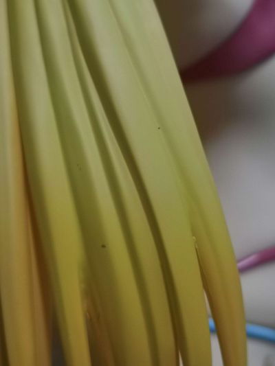 狐妖小红娘 涂山红红 盛夏绽放  泳装Ver.