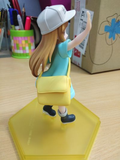 POP UP PARADE 工作细胞 血小板