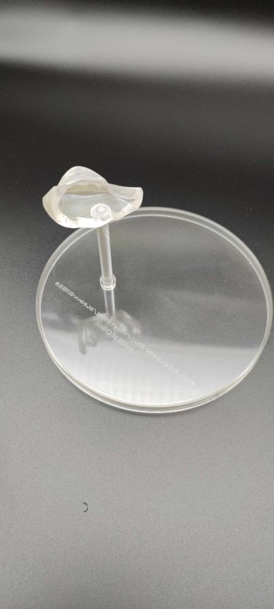 自称贤者弟子的贤者 米菈