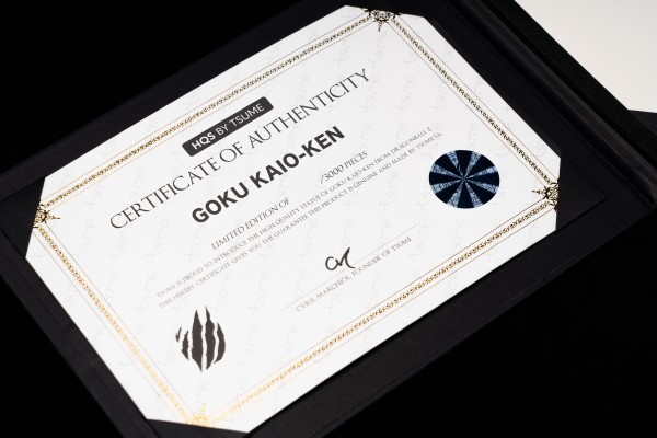 HQS 龙珠Z 贝吉塔 伽力克炮