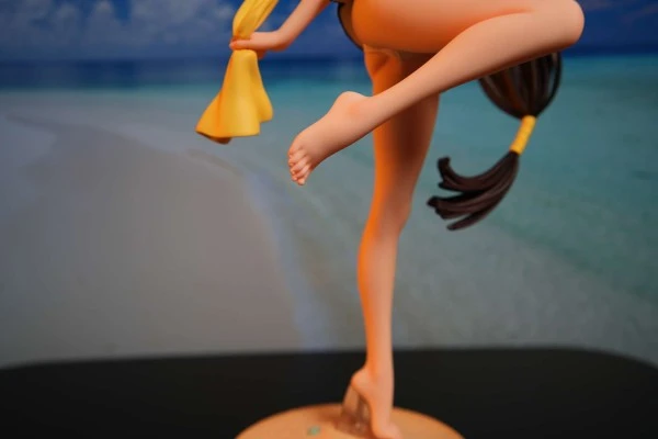 Shining Beach Heroines 光明系列 王白龍 水着 ver.