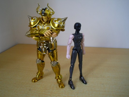 圣斗士圣衣神话 金牛座阿鲁迪巴