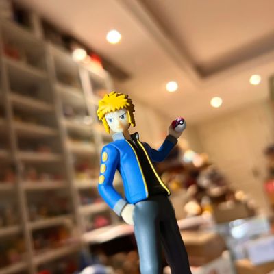 宝可梦比例世界 神奥地区 电次与电击魔兽