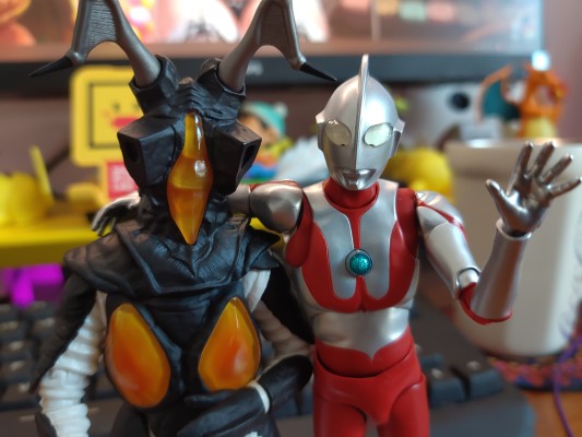 S.H.Figuarts   芝顿