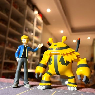 宝可梦比例世界 神奥地区 电次与电击魔兽