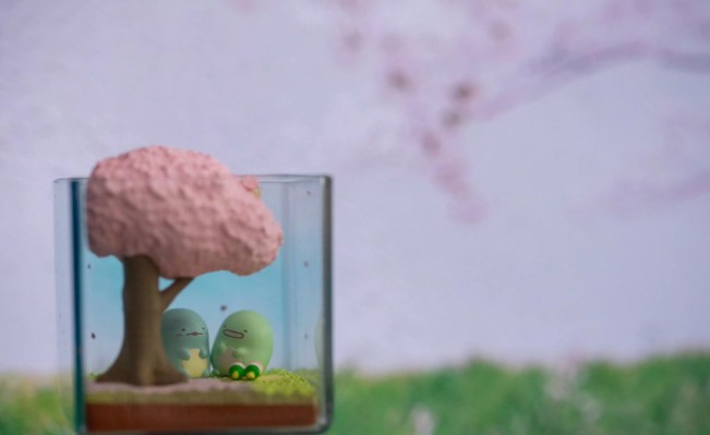 角落生物 春夏秋冬生态罐