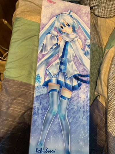 Dollfie Dream DD VOCALOID 初音未来 雪初音 Reboot