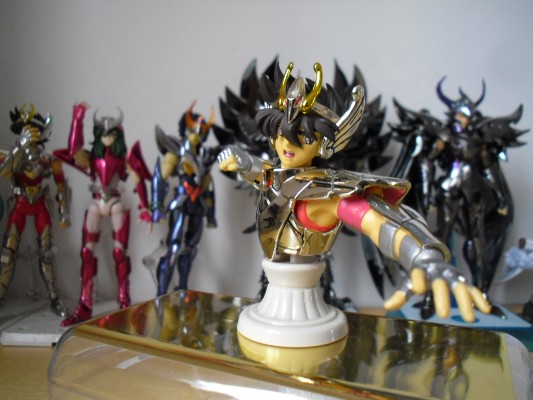 圣闘士圣衣神话APPENDIX 天马座 星矢 最终青铜圣衣