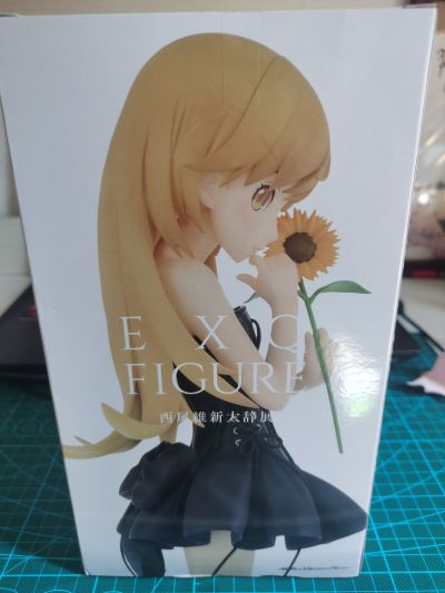 一番赏 Premium 伤物语 热血篇 C奖 姬丝秀忒 10岁