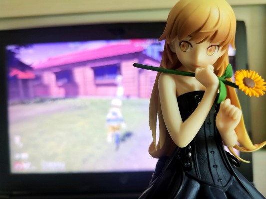 一番赏 Premium 伤物语 热血篇 A奖 阿良良木历