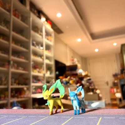 宝可梦比例世界 神奥地区2 套装