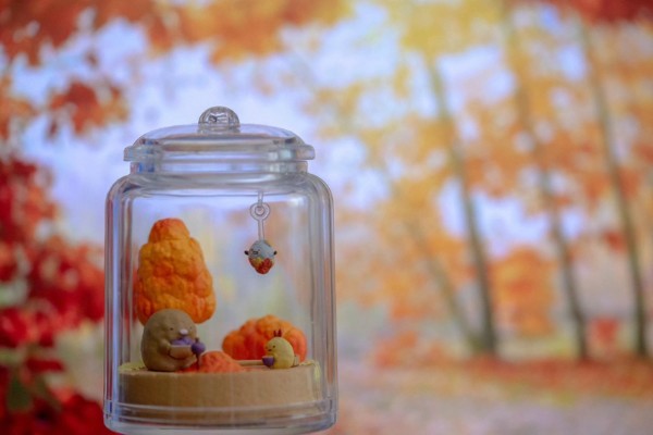 角落生物 春夏秋冬生态罐