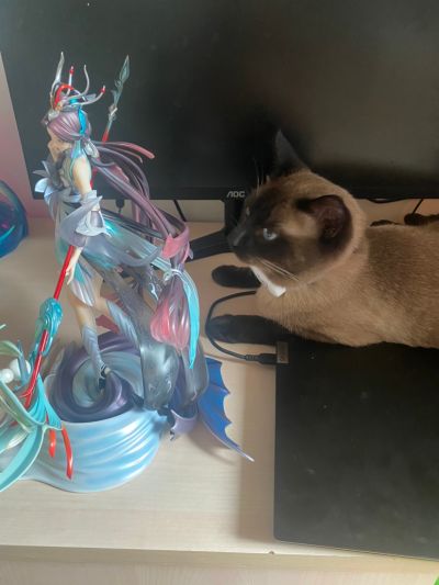 王者荣耀 大乔 白鹤梁神女