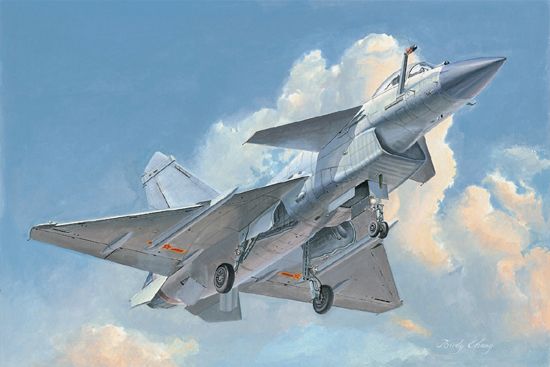 编号：02848 1/48 军用飞机系列 中国 歼十B 猛龙战斗机