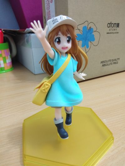 POP UP PARADE 工作细胞 血小板