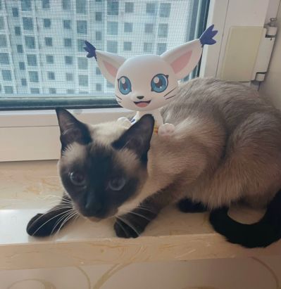 Look Up 数码宝贝 迪路兽