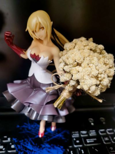 一番赏 Premium 伤物语 热血篇 最终大奖 姬丝秀忒 17岁 珍珠漆样式