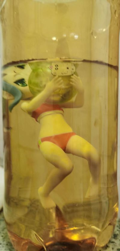 沙滩女王 IS〈无限斯特拉托斯〉 凰铃音 泳装