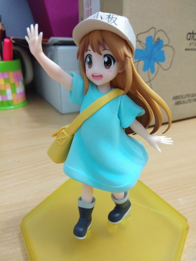 POP UP PARADE 工作细胞 血小板