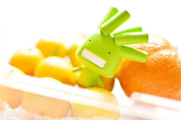 もやしもん P･クリソゲヌム Soft Stage 